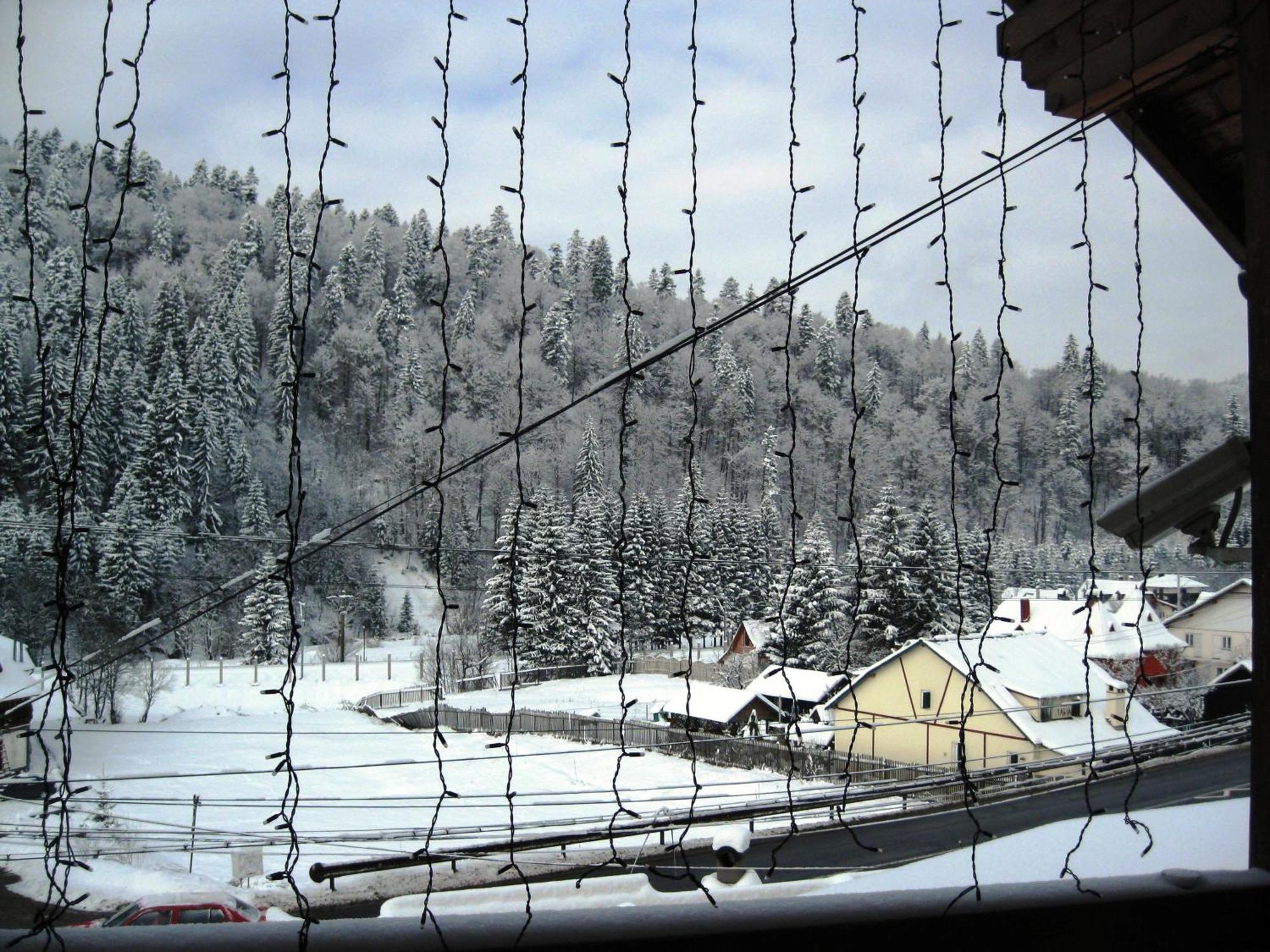 Vila Vitalis Предял Экстерьер фото